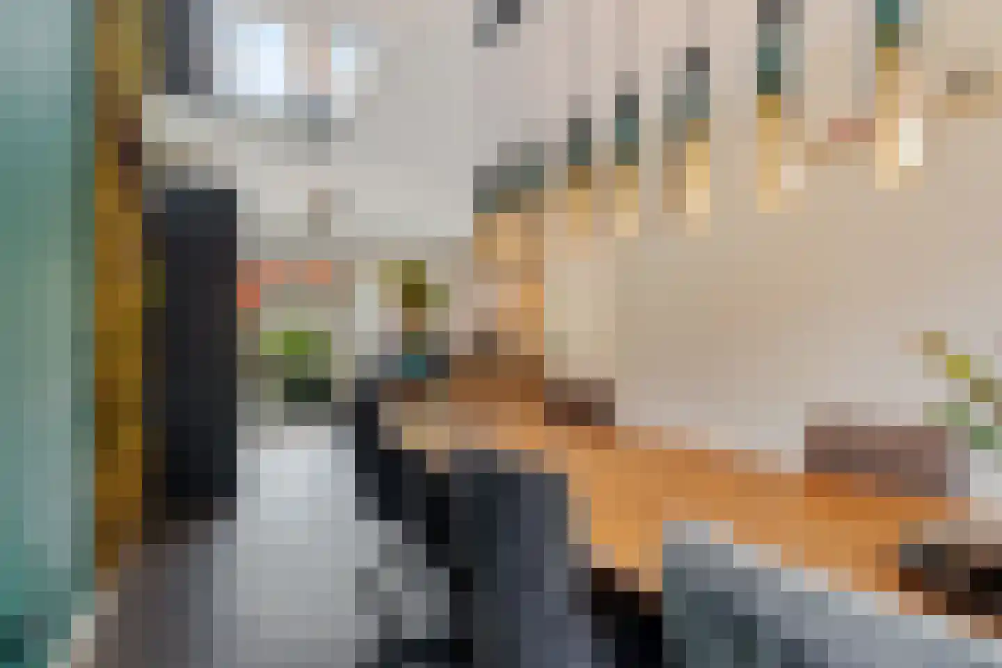Sternlaan 37 Den Haag thumbnail 15