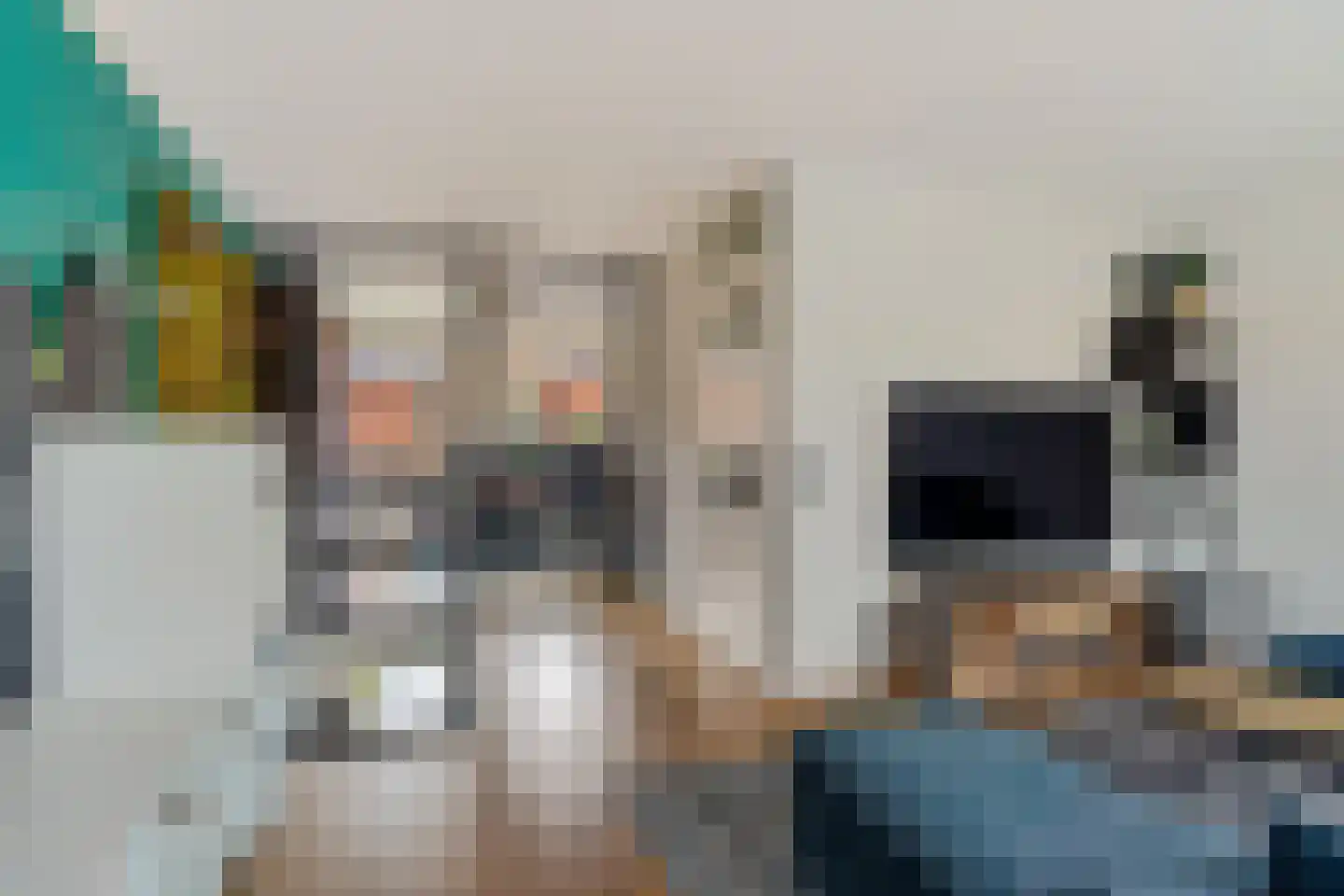 Sternlaan 37 Den Haag thumbnail 33