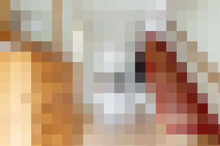 Sternlaan 44 Vlijmen thumbnail 10
