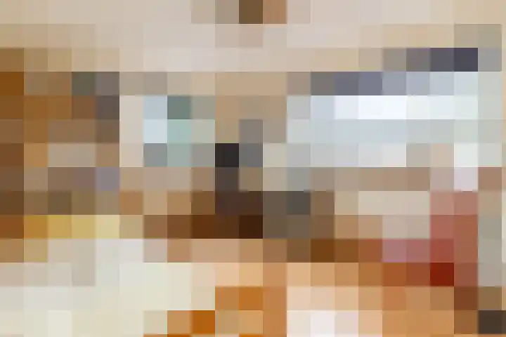 Sternlaan 44 Vlijmen thumbnail 14