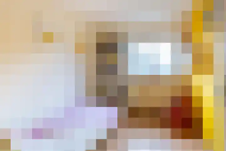Sternlaan 44 Vlijmen thumbnail 15