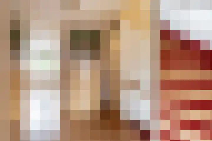 Sternlaan 44 Vlijmen thumbnail 17