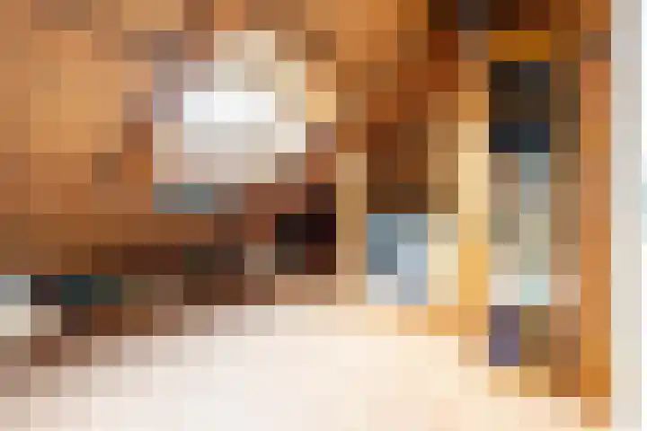 Sternlaan 44 Vlijmen thumbnail 20