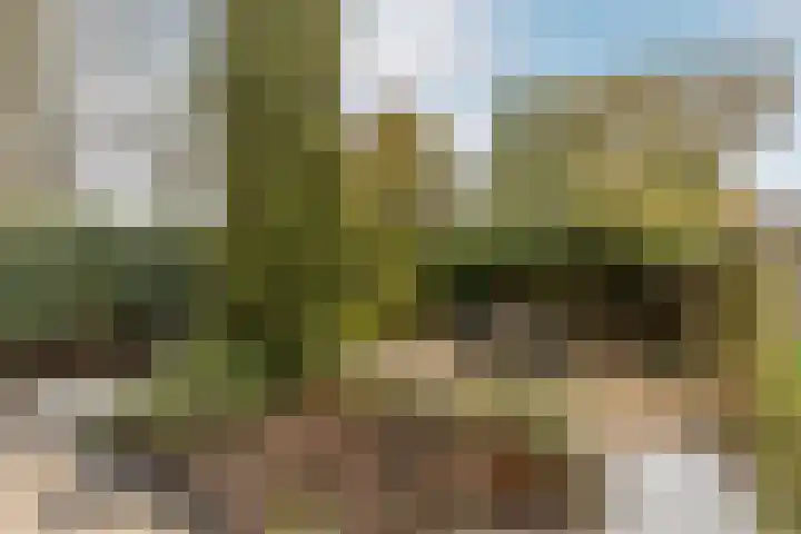 Sternlaan 44 Vlijmen thumbnail 22