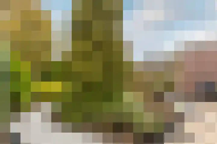 Sternlaan 44 Vlijmen thumbnail 23