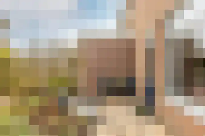 Sternlaan 44 Vlijmen thumbnail 25