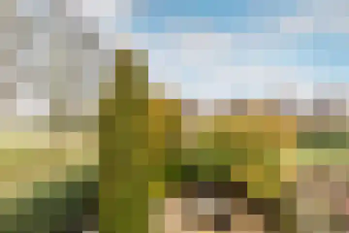 Sternlaan 44 Vlijmen thumbnail 27