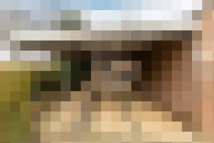 Sternlaan 44 Vlijmen thumbnail 29