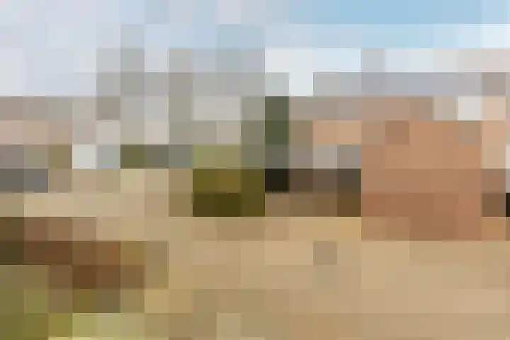Sternlaan 44 Vlijmen thumbnail 33