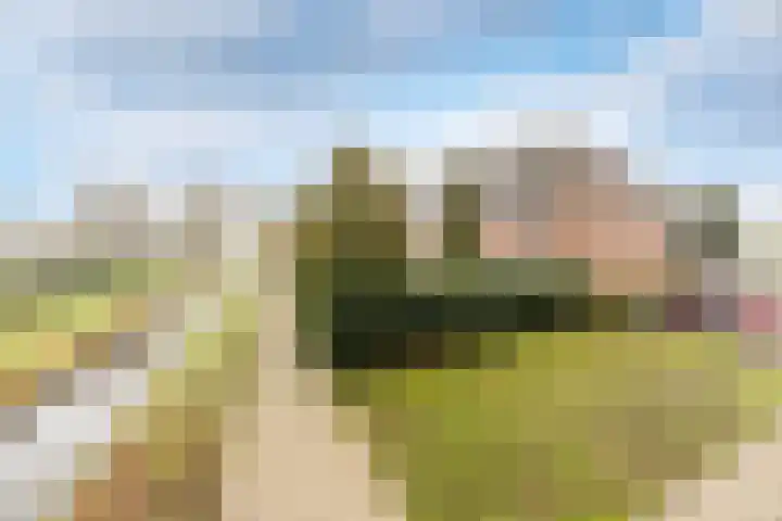 Sternlaan 44 Vlijmen thumbnail 36