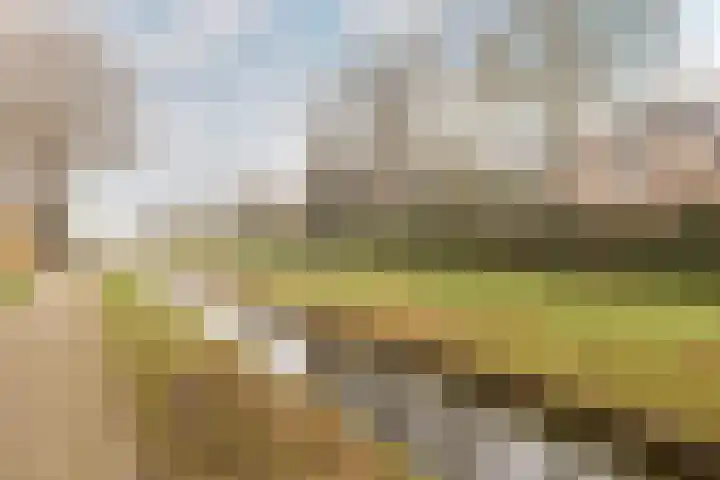 Sternlaan 44 Vlijmen thumbnail 38