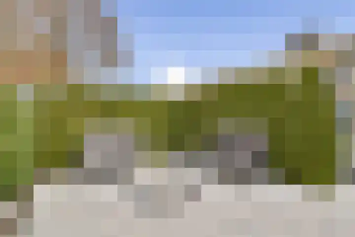 Sternpad 18 Vlaardingen thumbnail 11