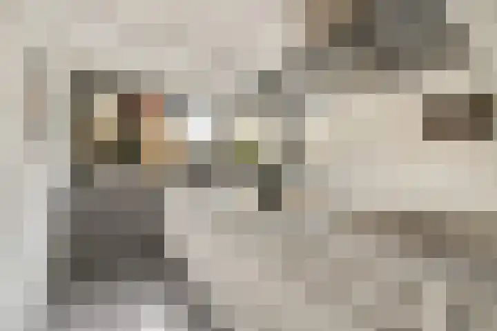 Sternpad 18 Vlaardingen thumbnail 15