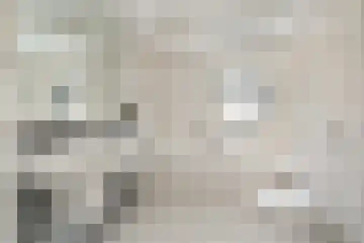 Sternpad 18 Vlaardingen thumbnail 22