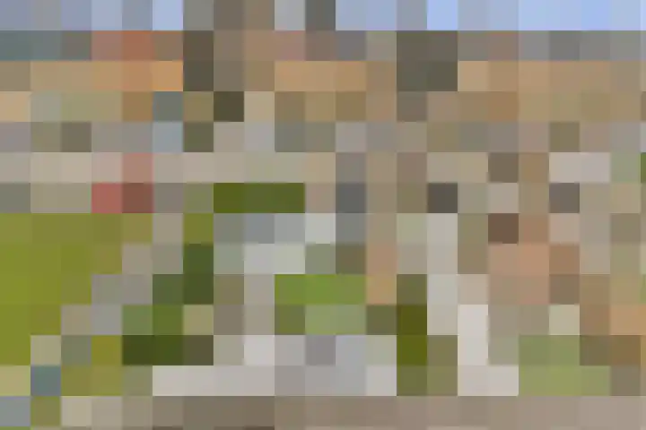 Sternpad 18 Vlaardingen thumbnail 31
