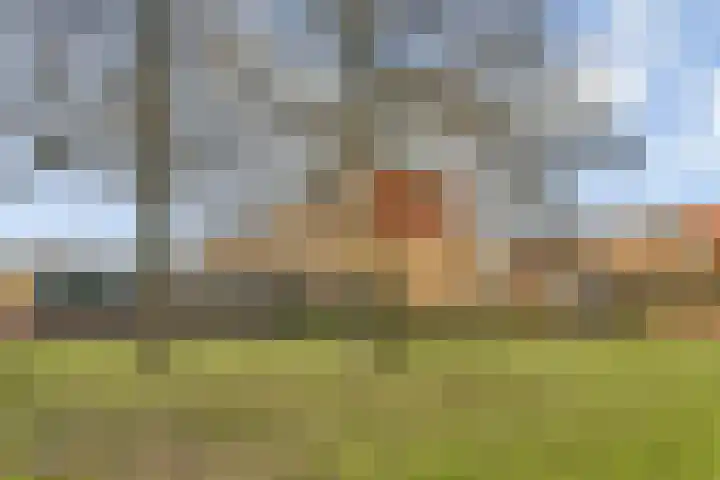 Sternpad 18 Vlaardingen thumbnail 33
