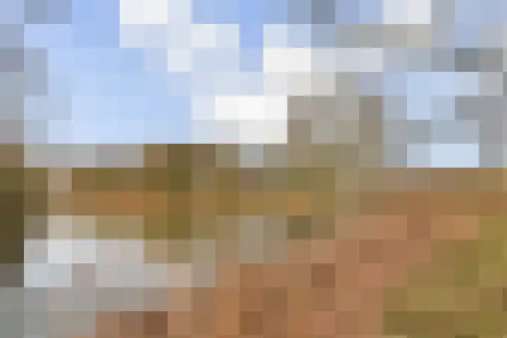 Sternpad 18 Vlaardingen thumbnail 35