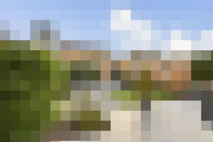 Sternpad 18 Vlaardingen thumbnail 4