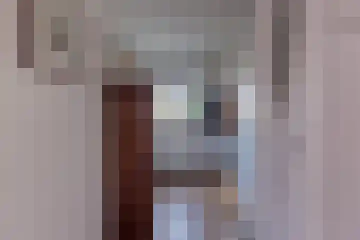 Sternstraat 10 Leiderdorp thumbnail 13