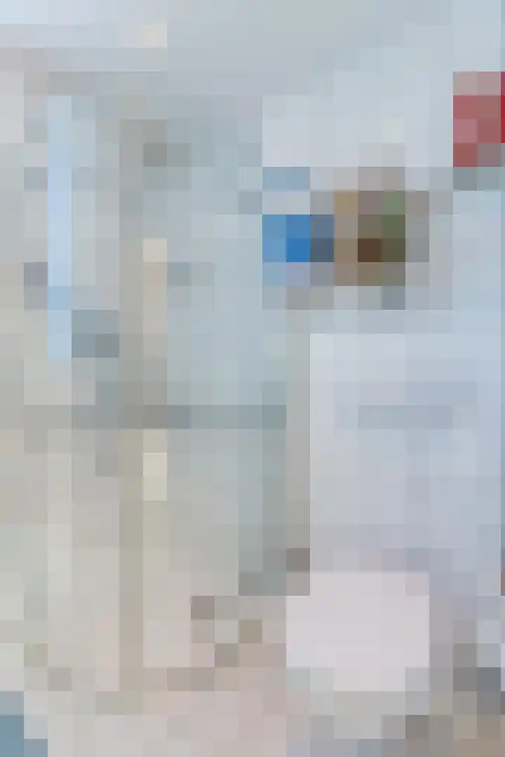 Sternstraat 10 Leiderdorp thumbnail 21