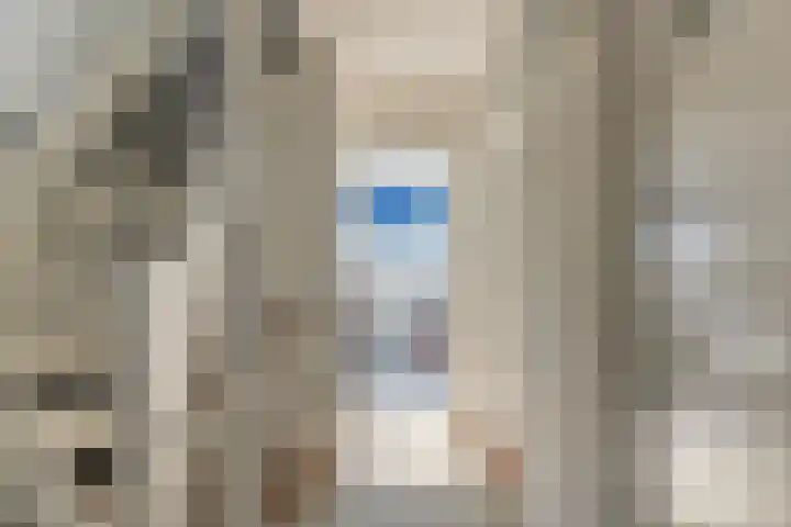 Sternstraat 10 Leiderdorp thumbnail 25