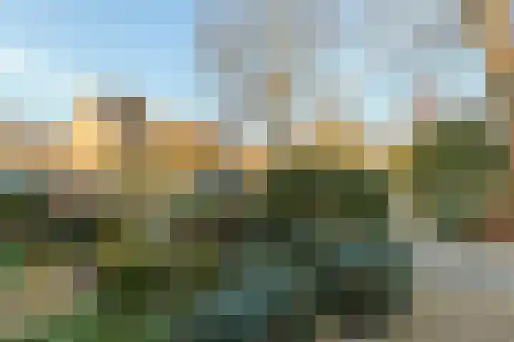Sternstraat 10 Leiderdorp thumbnail 39