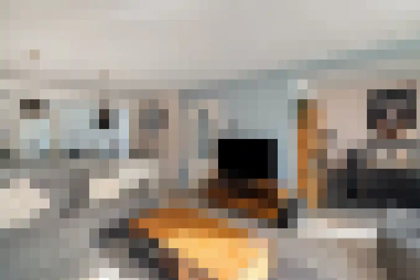 Sternstraat 10 Petten thumbnail 11