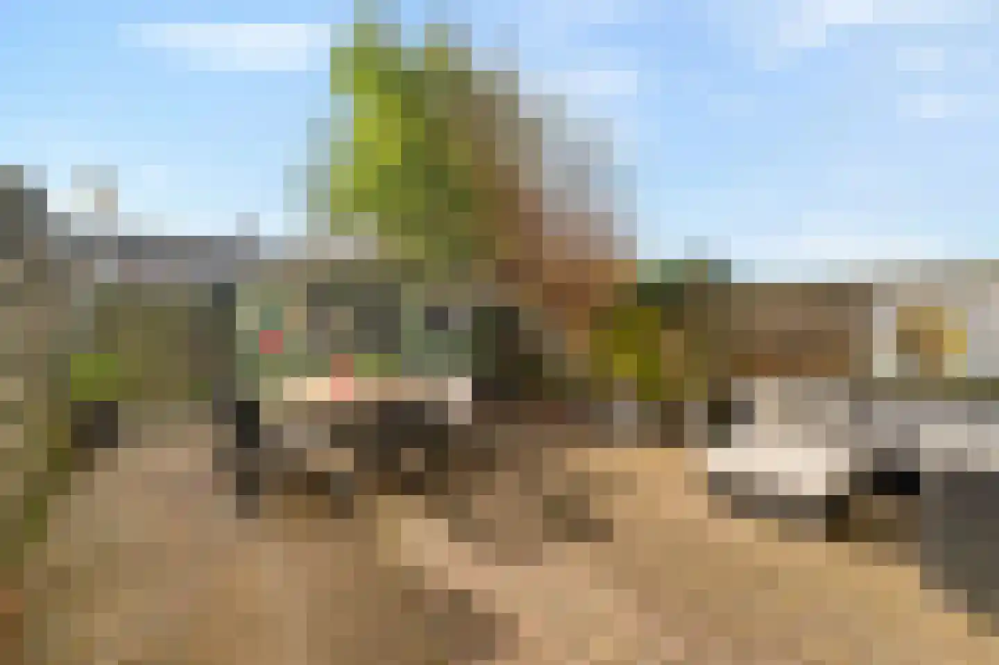Sternstraat 10 Petten thumbnail 22