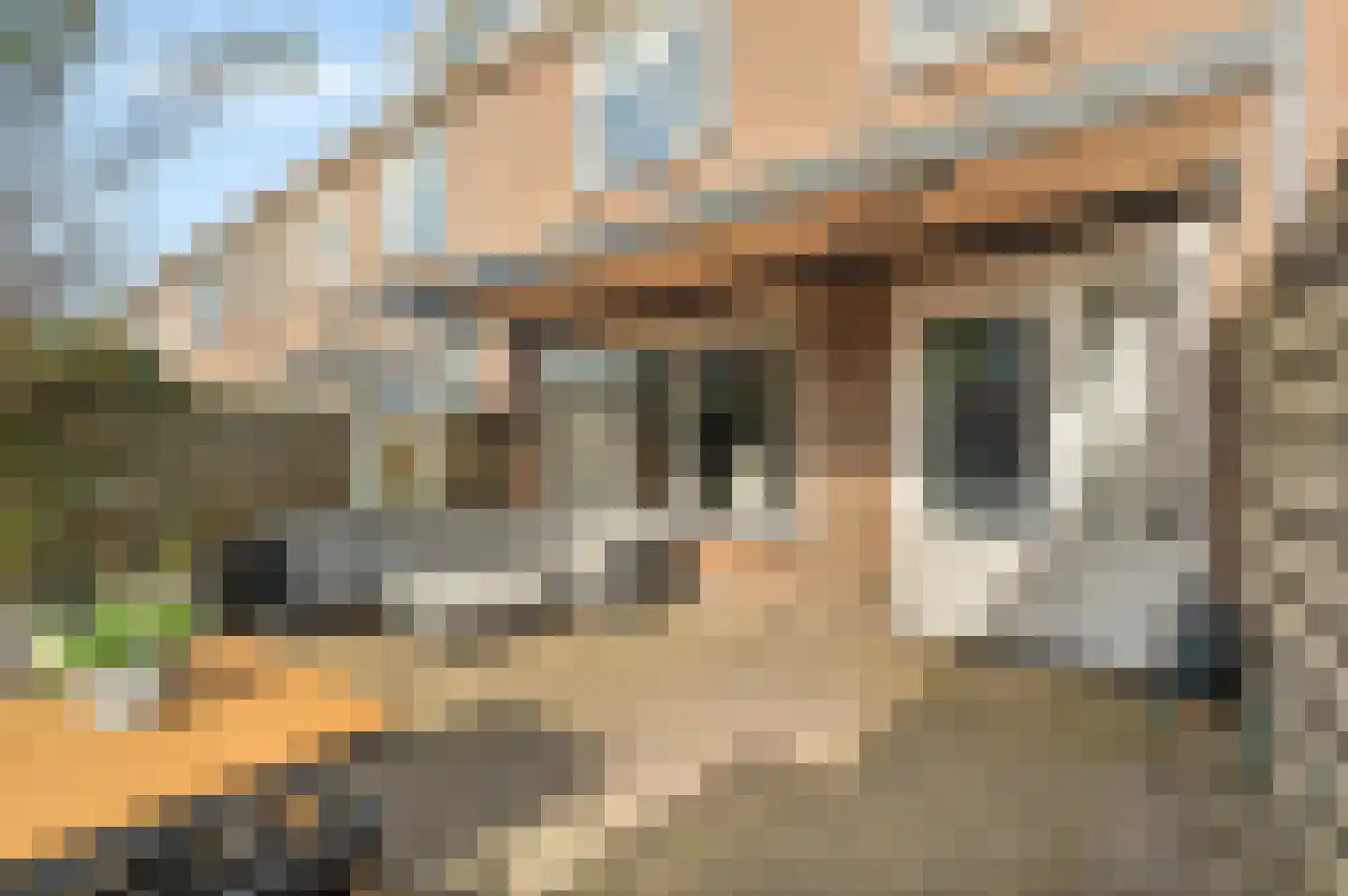 Sternstraat 10 Petten thumbnail 23