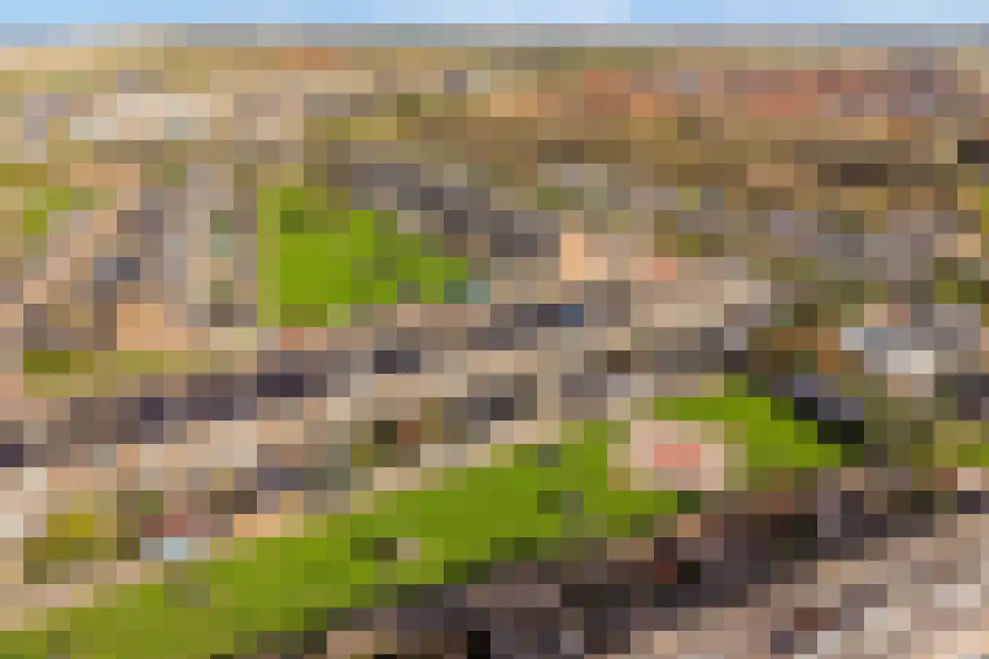 Sternstraat 10 Petten thumbnail 46