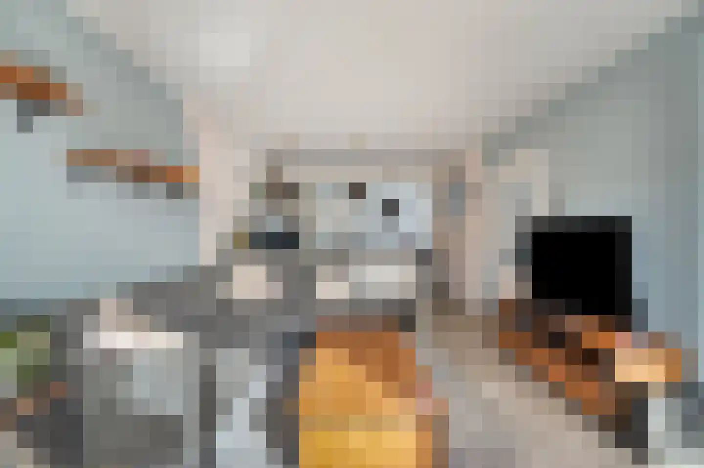 Sternstraat 10 Petten thumbnail 8
