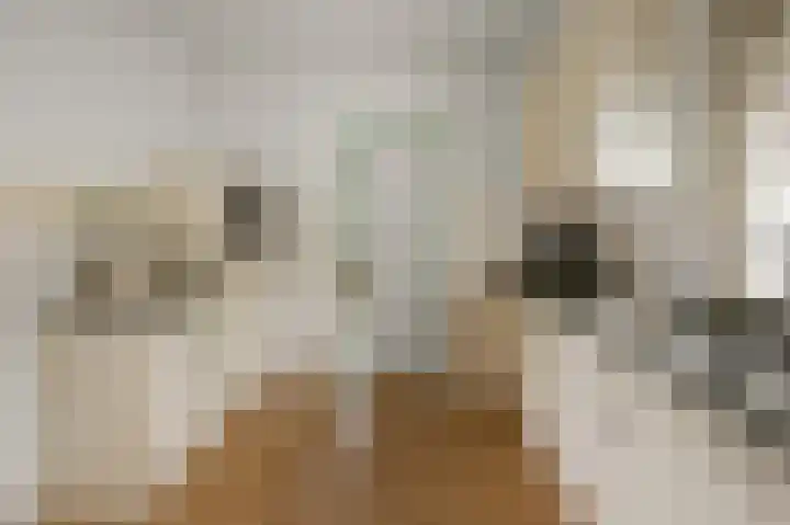 Sternstraat 10 Wormer thumbnail 11