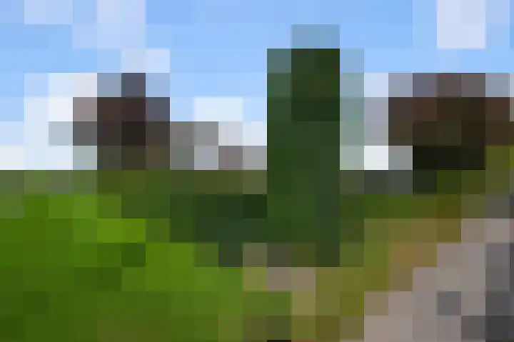 Sternstraat 10 Wormer thumbnail 41