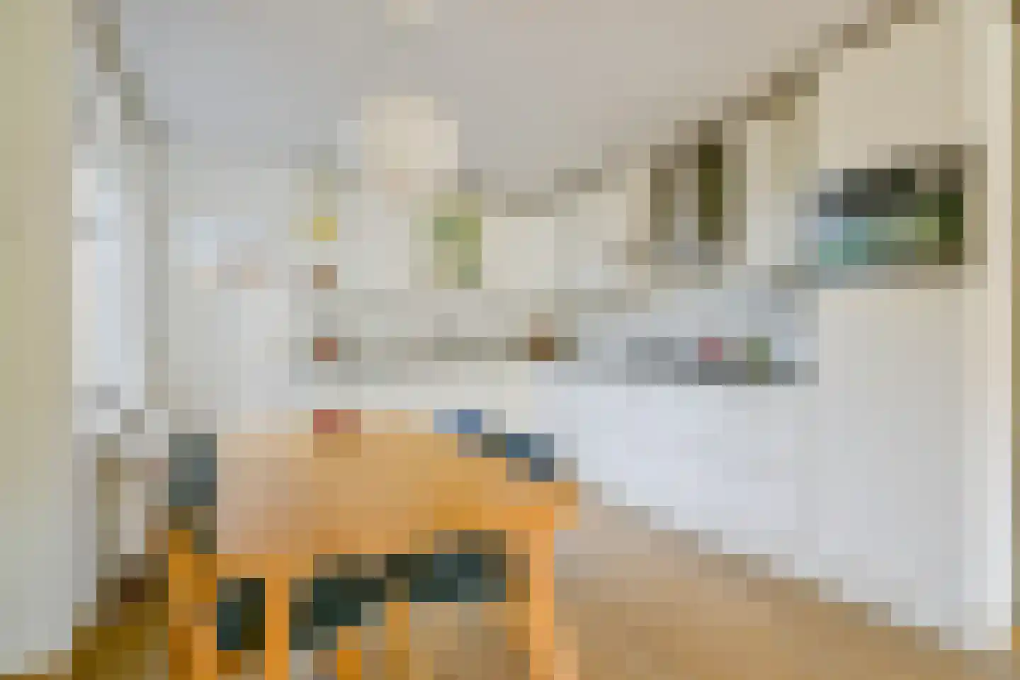 Sternstraat 11 Petten thumbnail 10