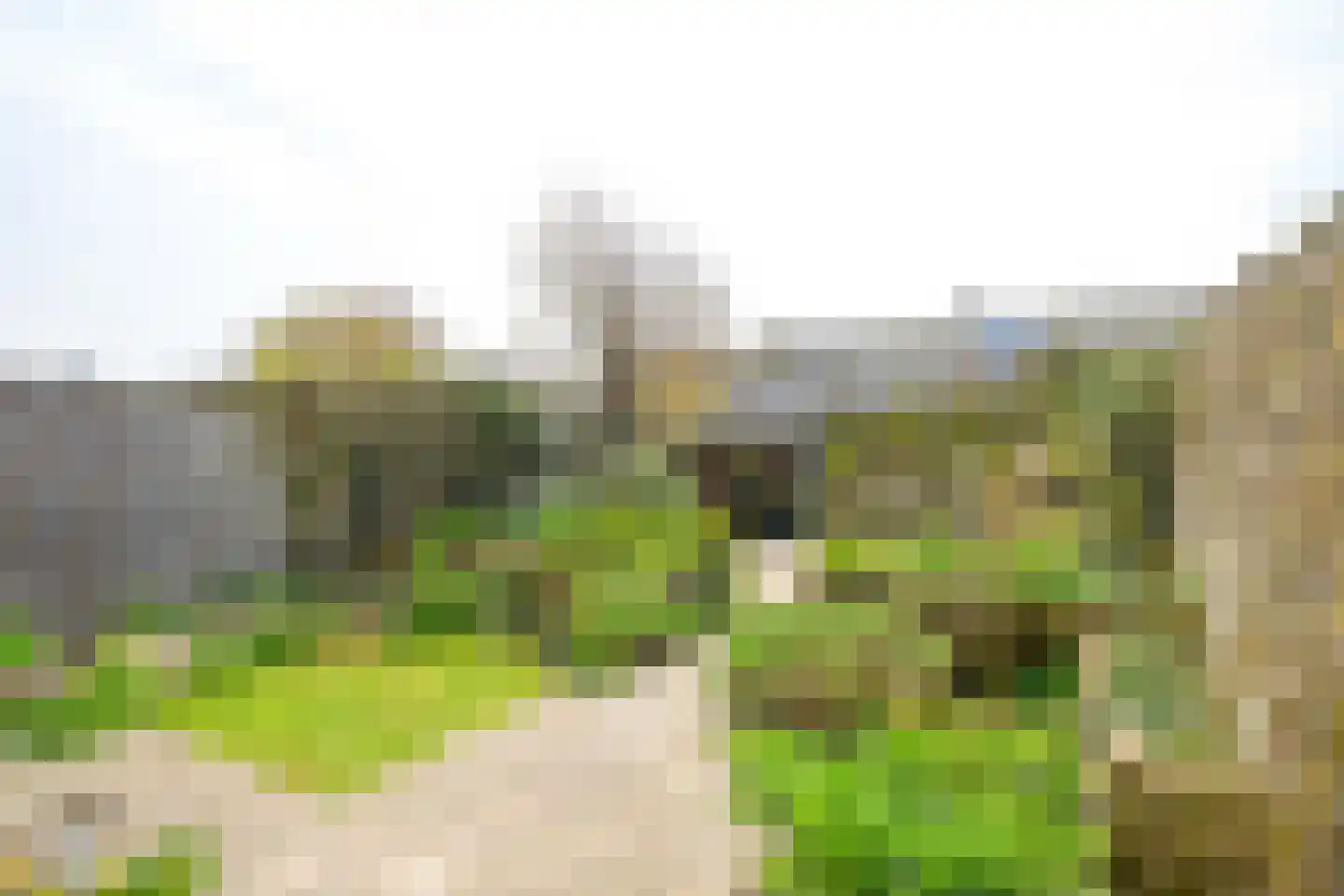 Sternstraat 11 Petten thumbnail 13