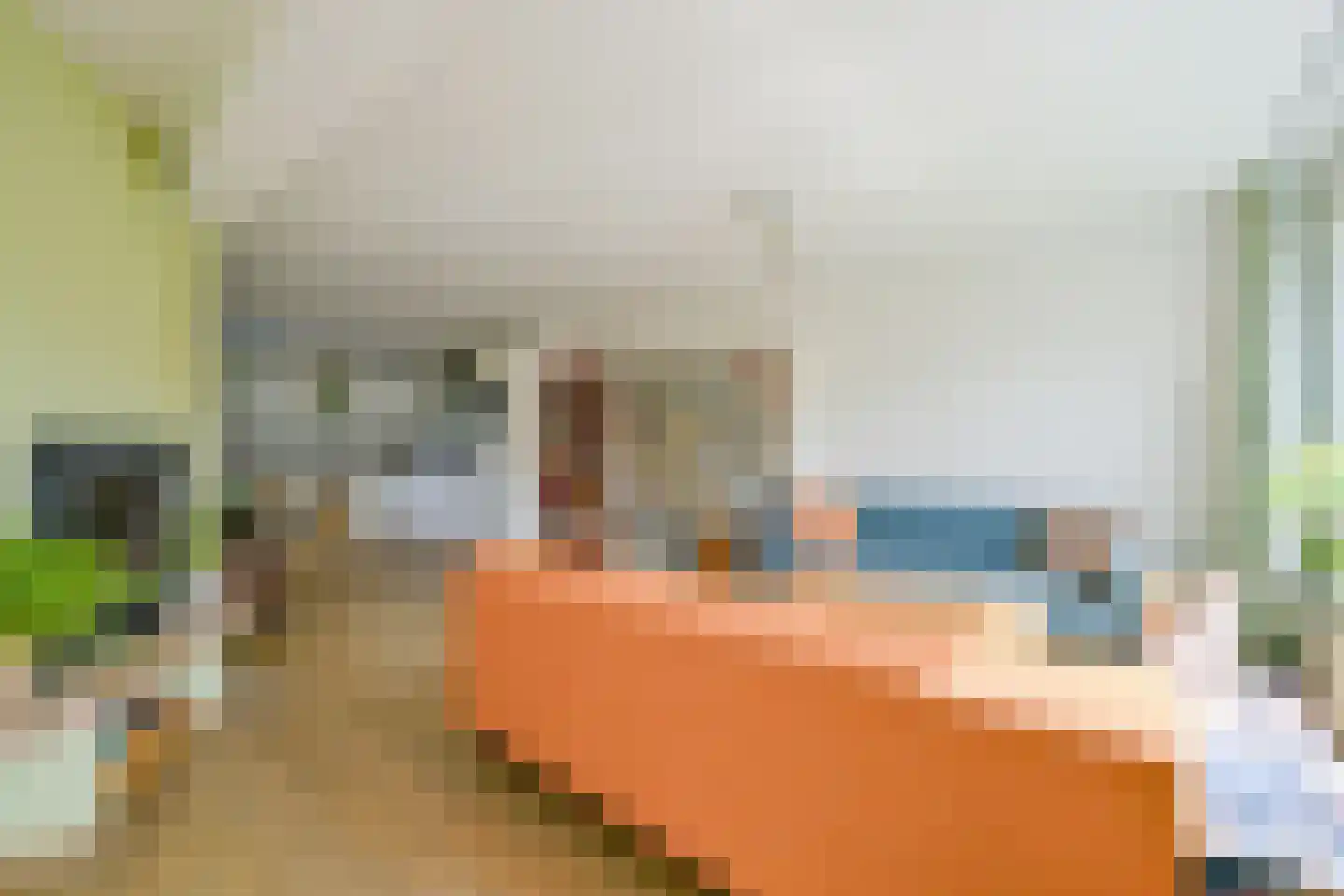 Sternstraat 11 Petten thumbnail 17