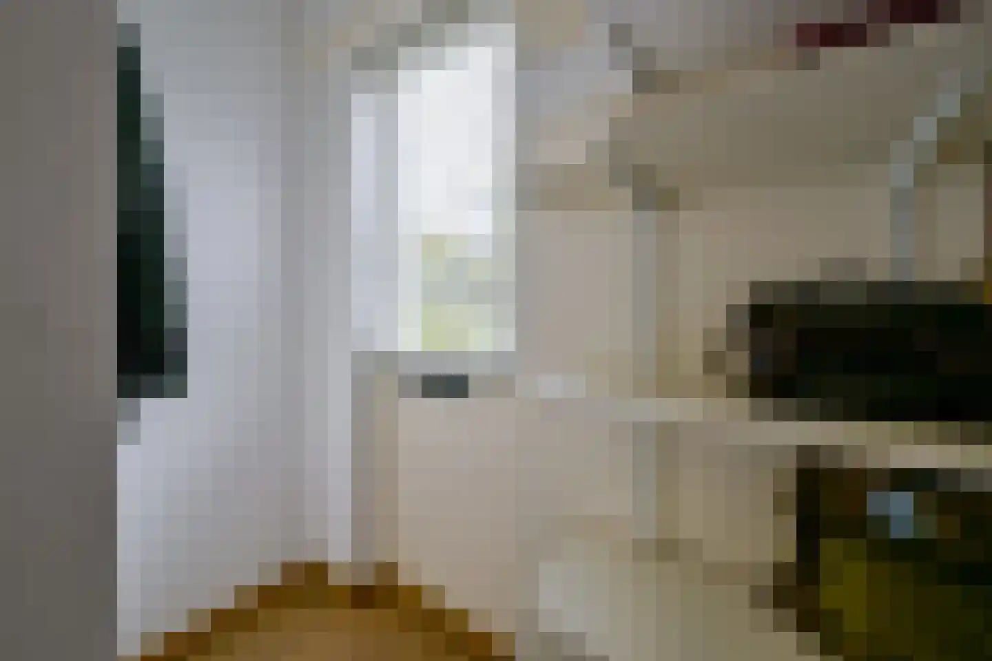 Sternstraat 11 Petten thumbnail 19