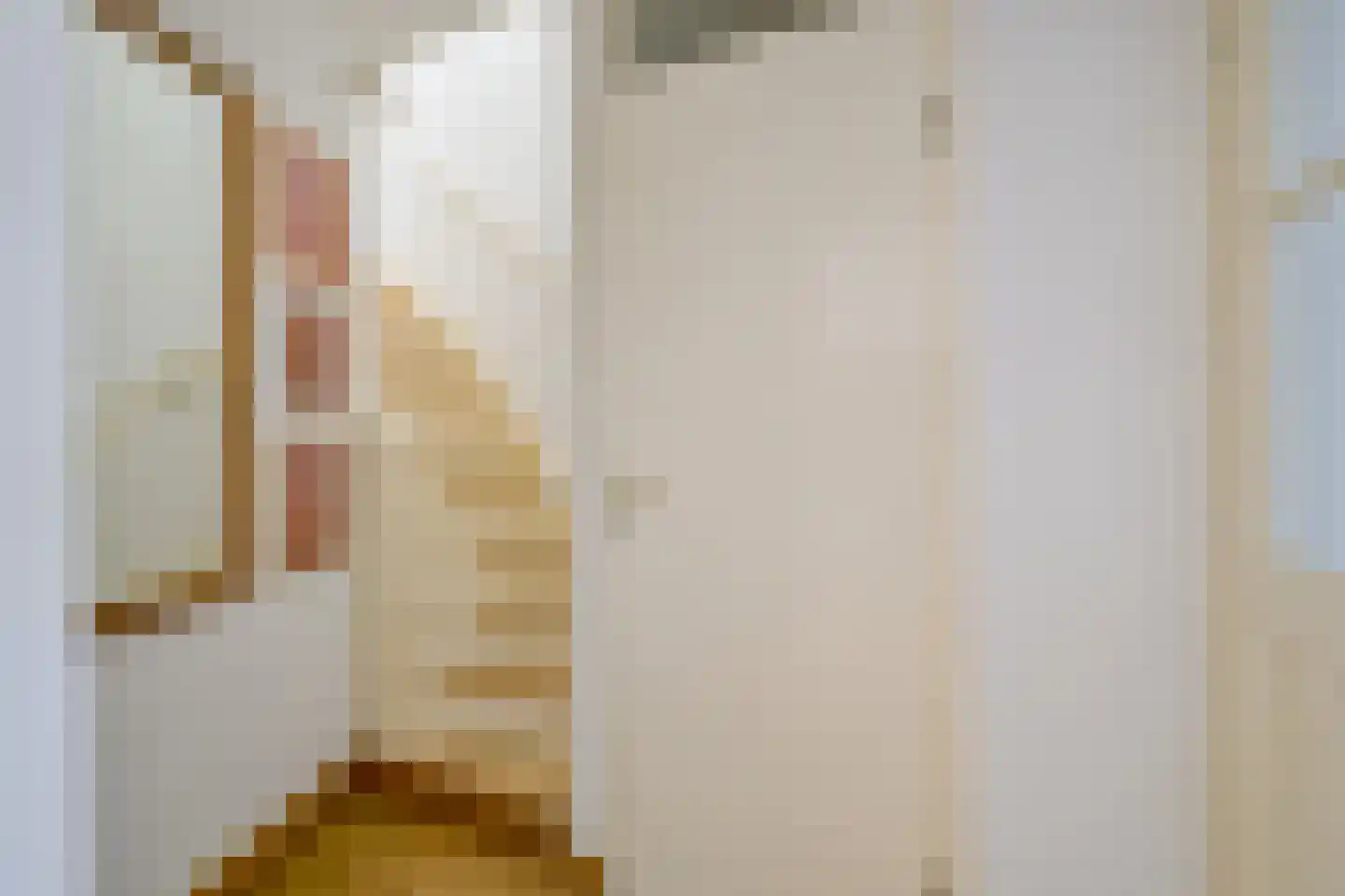 Sternstraat 11 Petten thumbnail 35