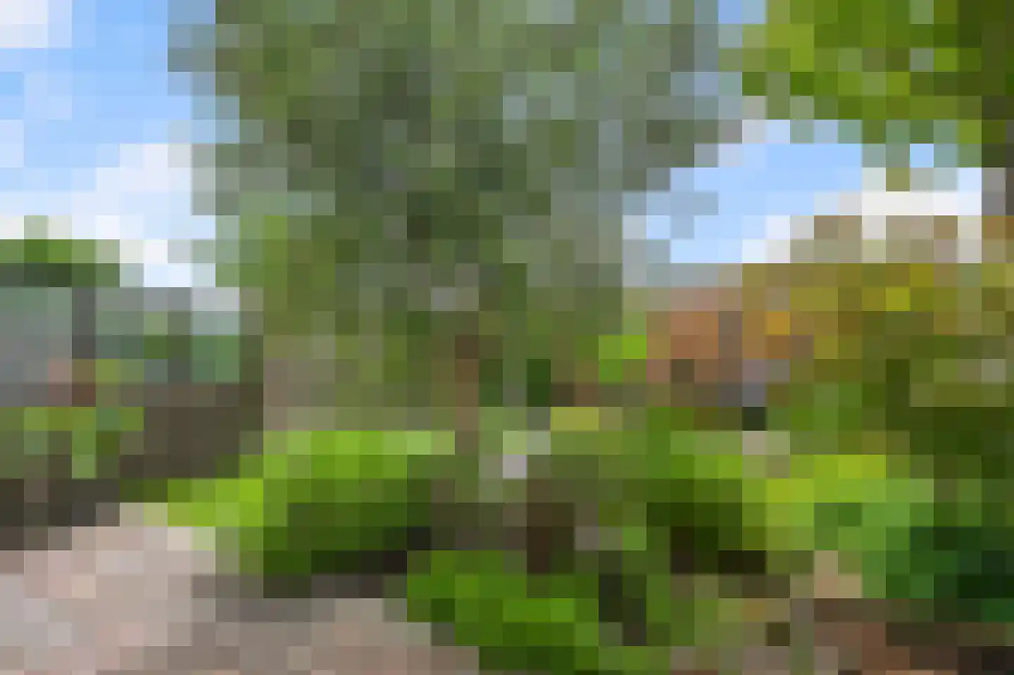 Sternstraat 16 Uitgeest thumbnail 15