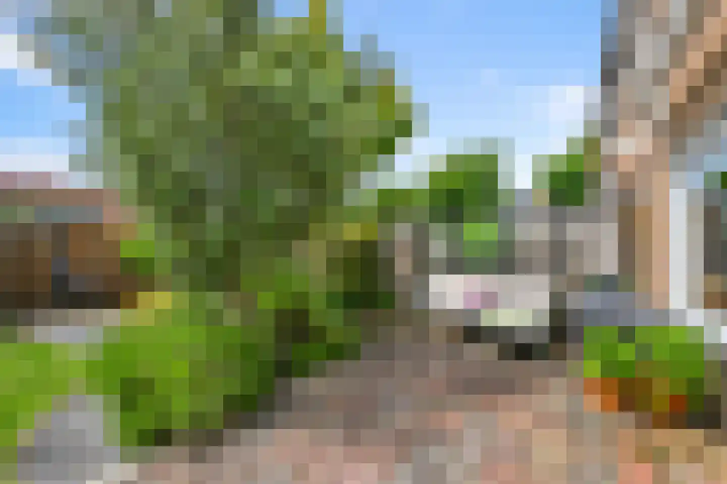 Sternstraat 16 Uitgeest thumbnail 16