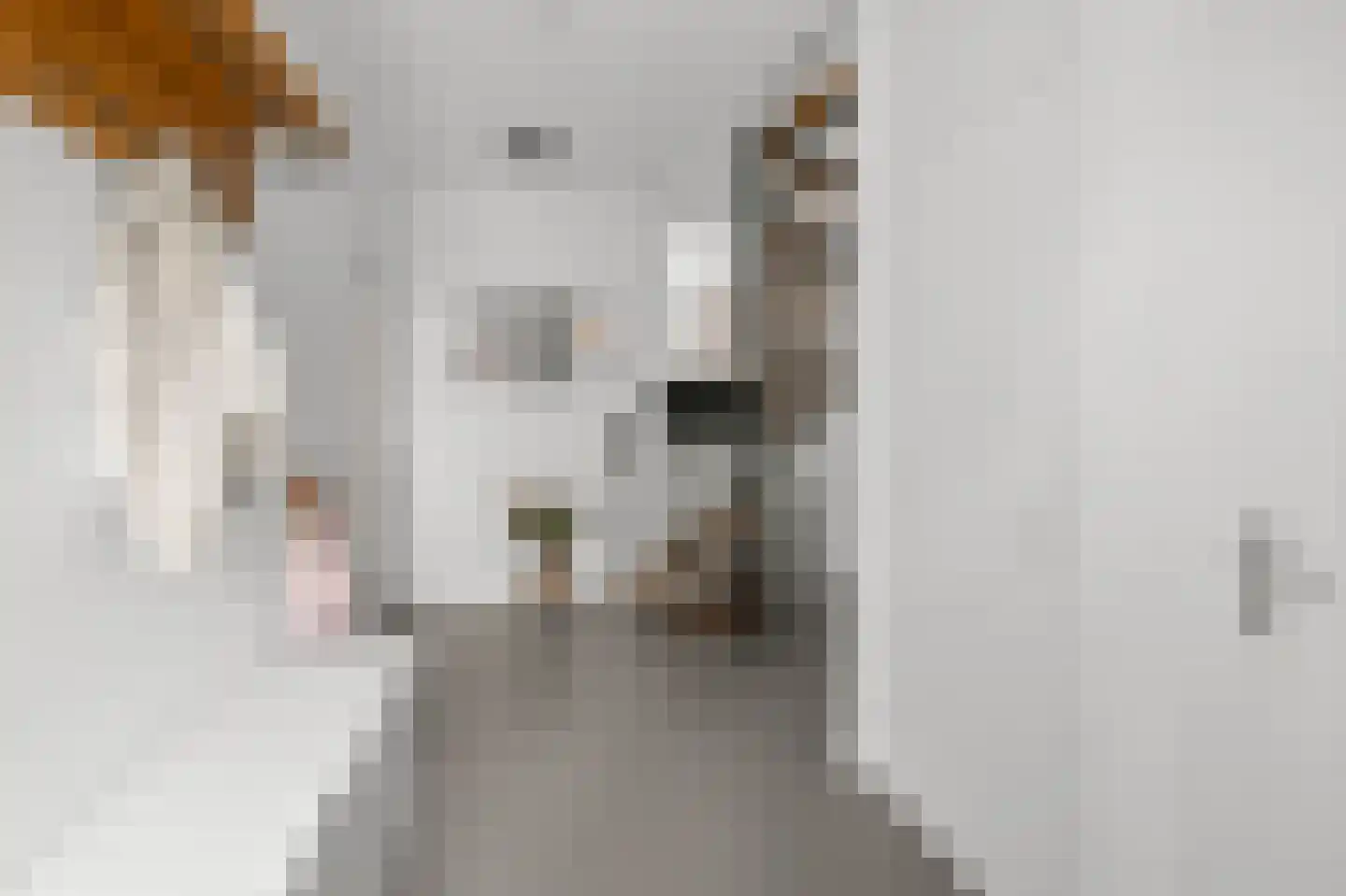 Sternstraat 16 Uitgeest thumbnail 21