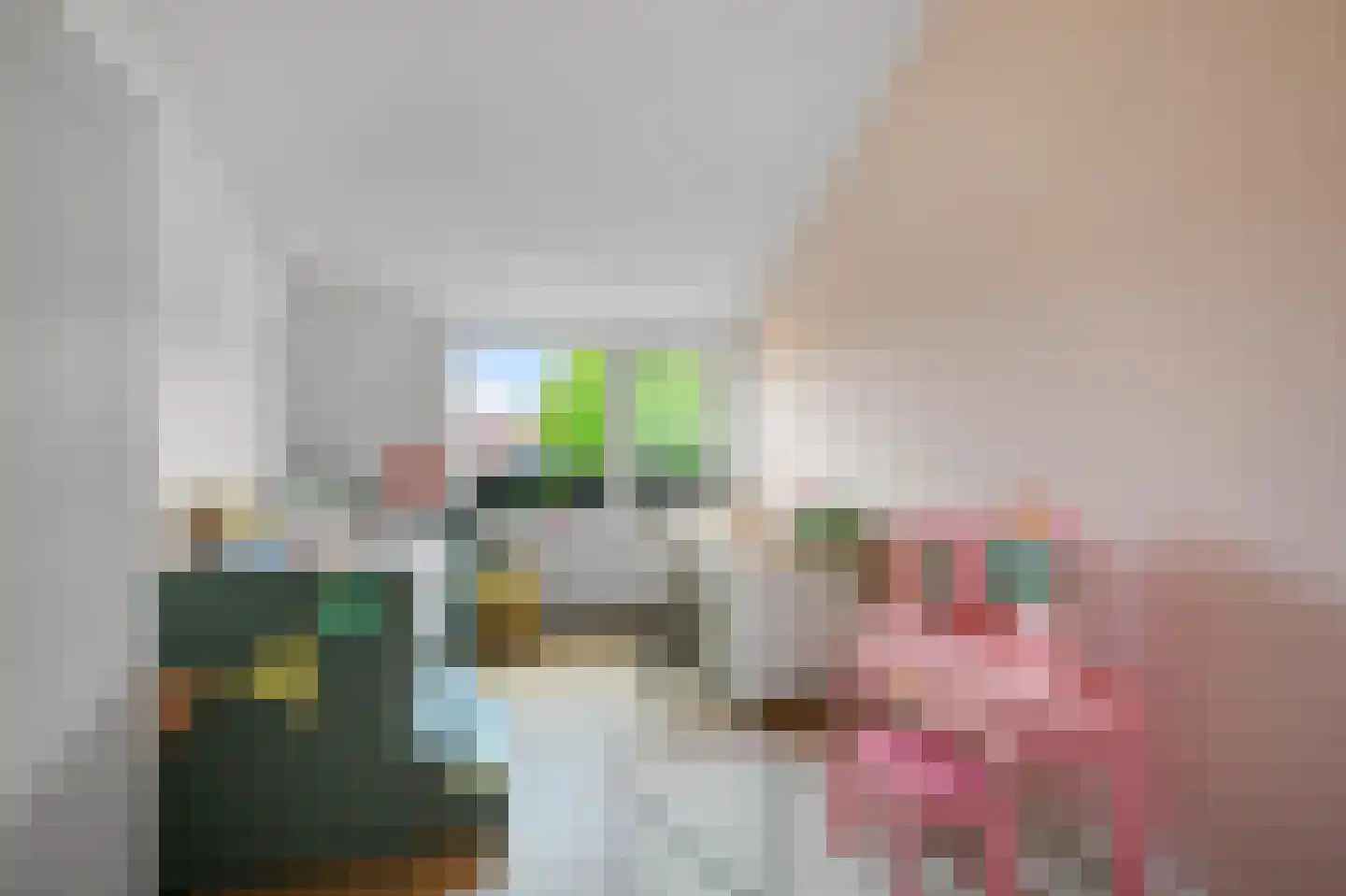 Sternstraat 16 Uitgeest thumbnail 29