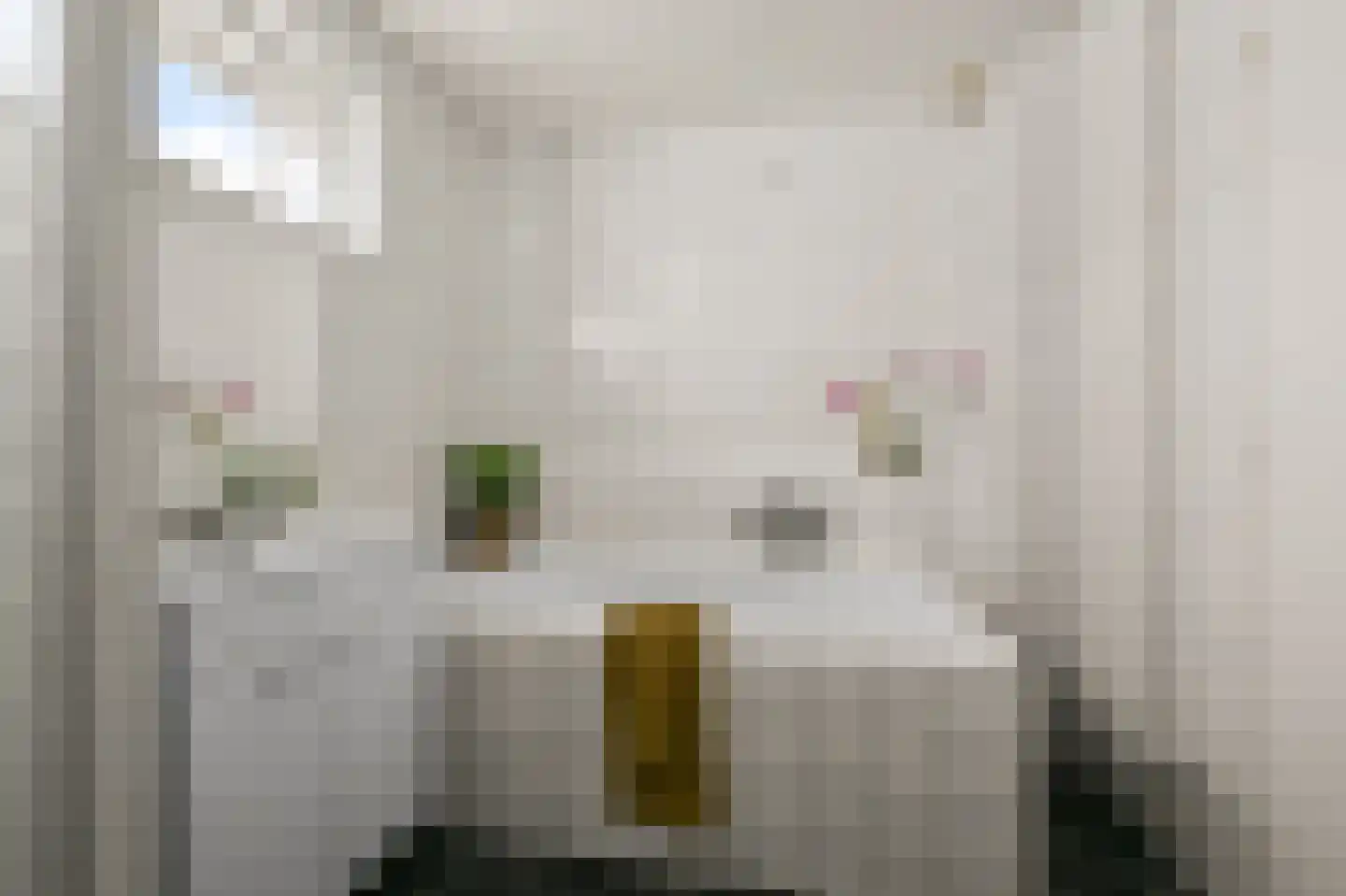 Sternstraat 16 Uitgeest thumbnail 33