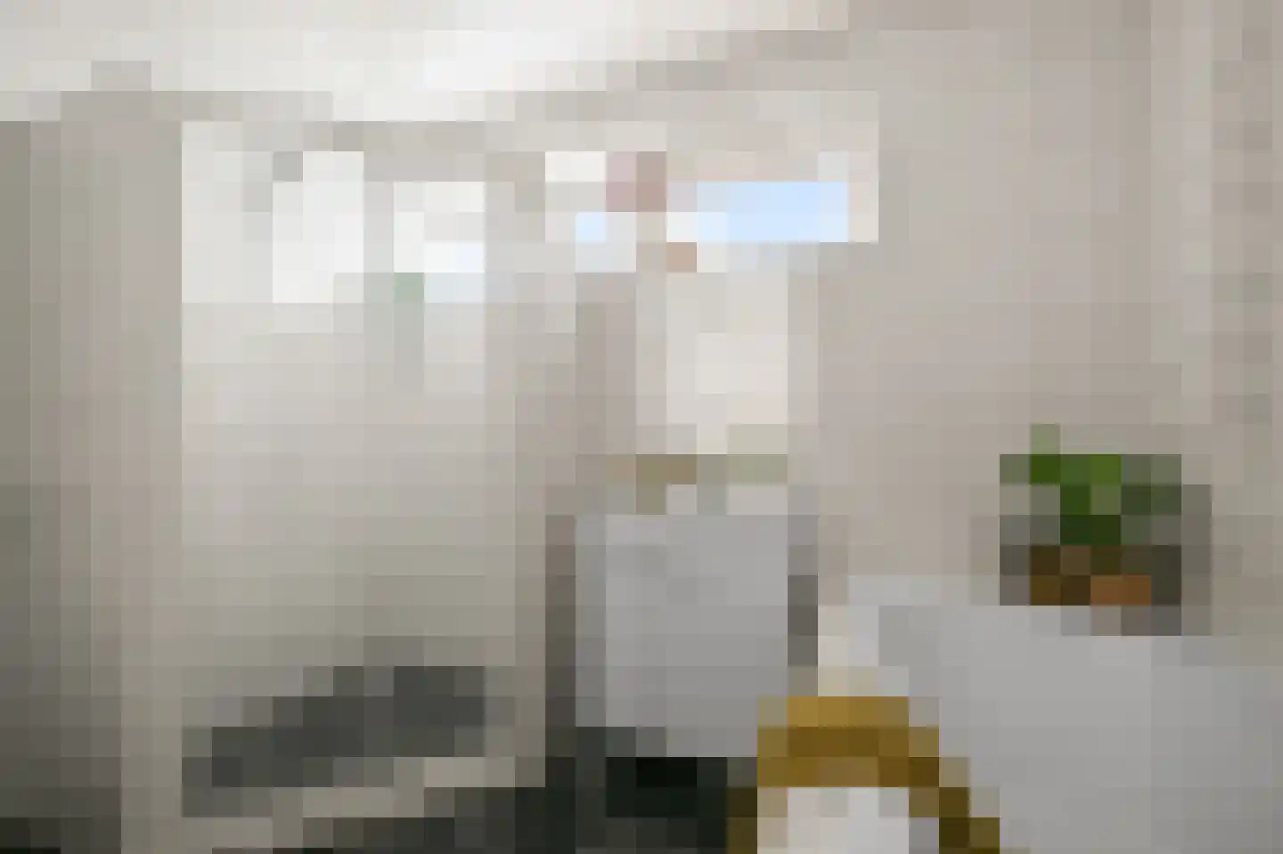 Sternstraat 16 Uitgeest thumbnail 34