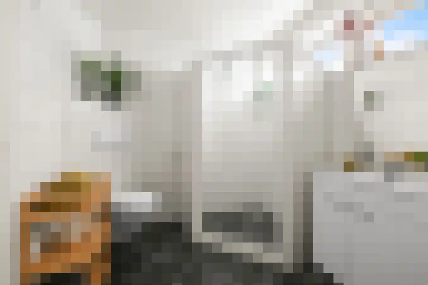 Sternstraat 16 Uitgeest thumbnail 35