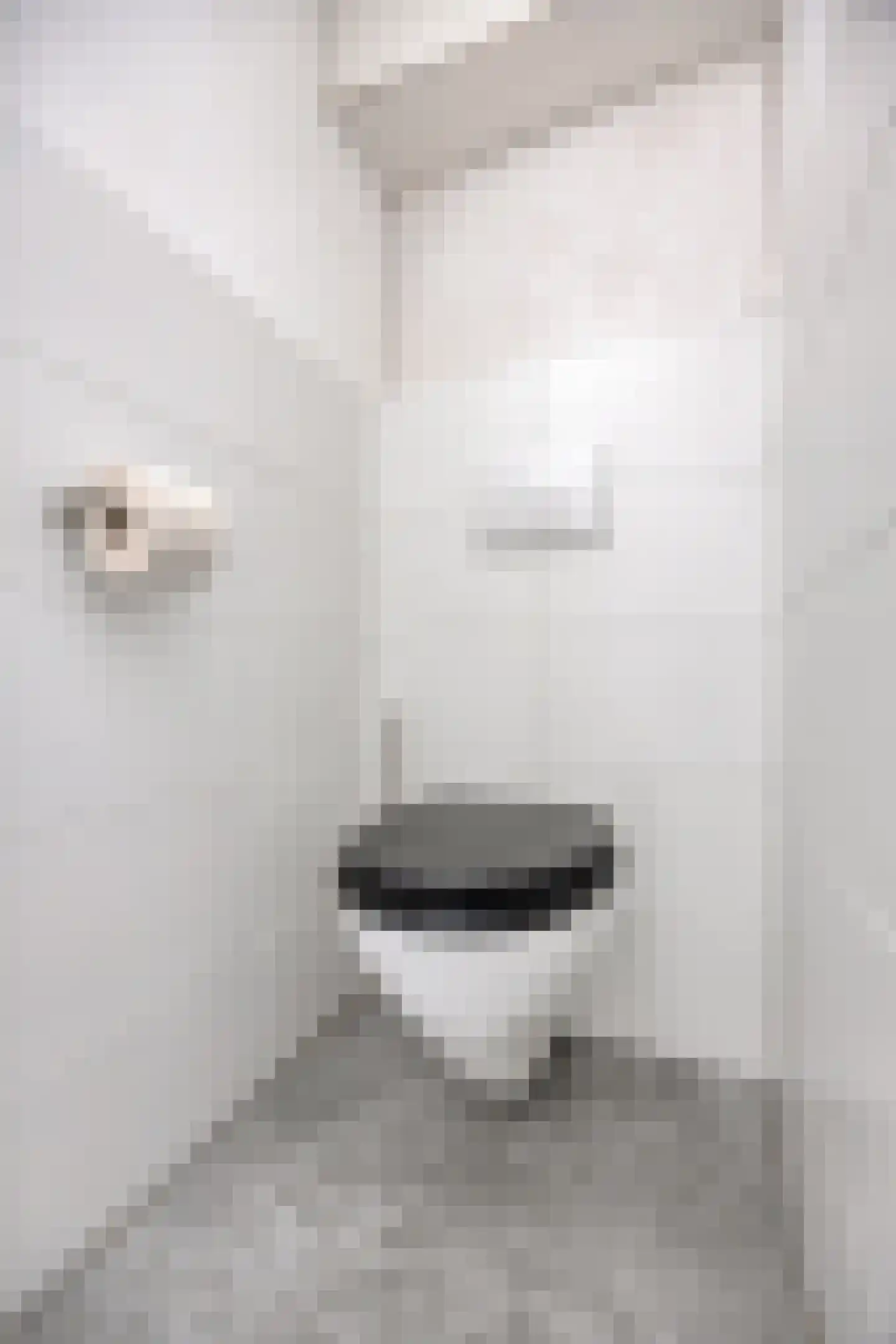 Sternstraat 17 B Rotterdam thumbnail 5