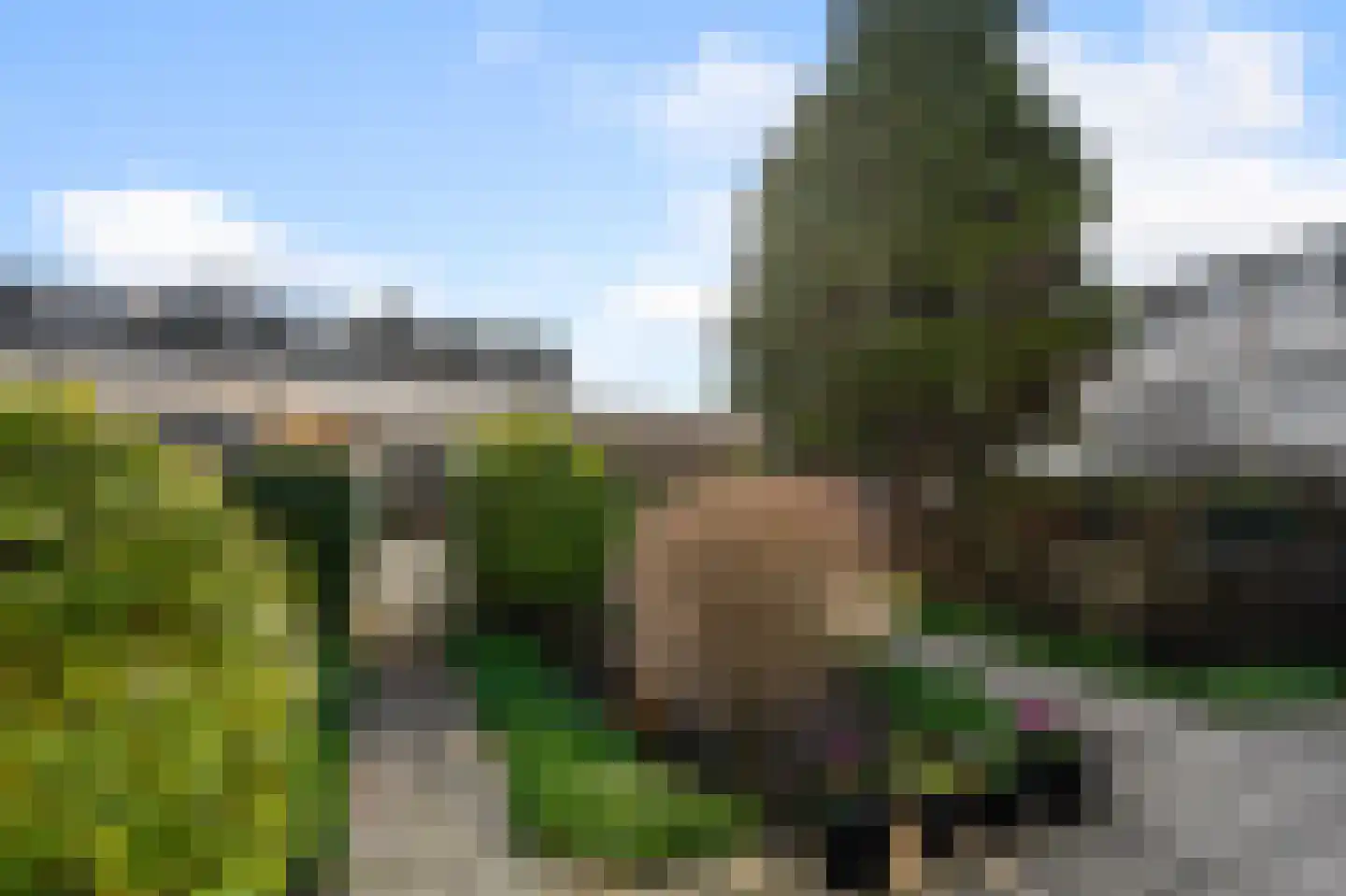 Sternstraat 17 Wormer thumbnail 10