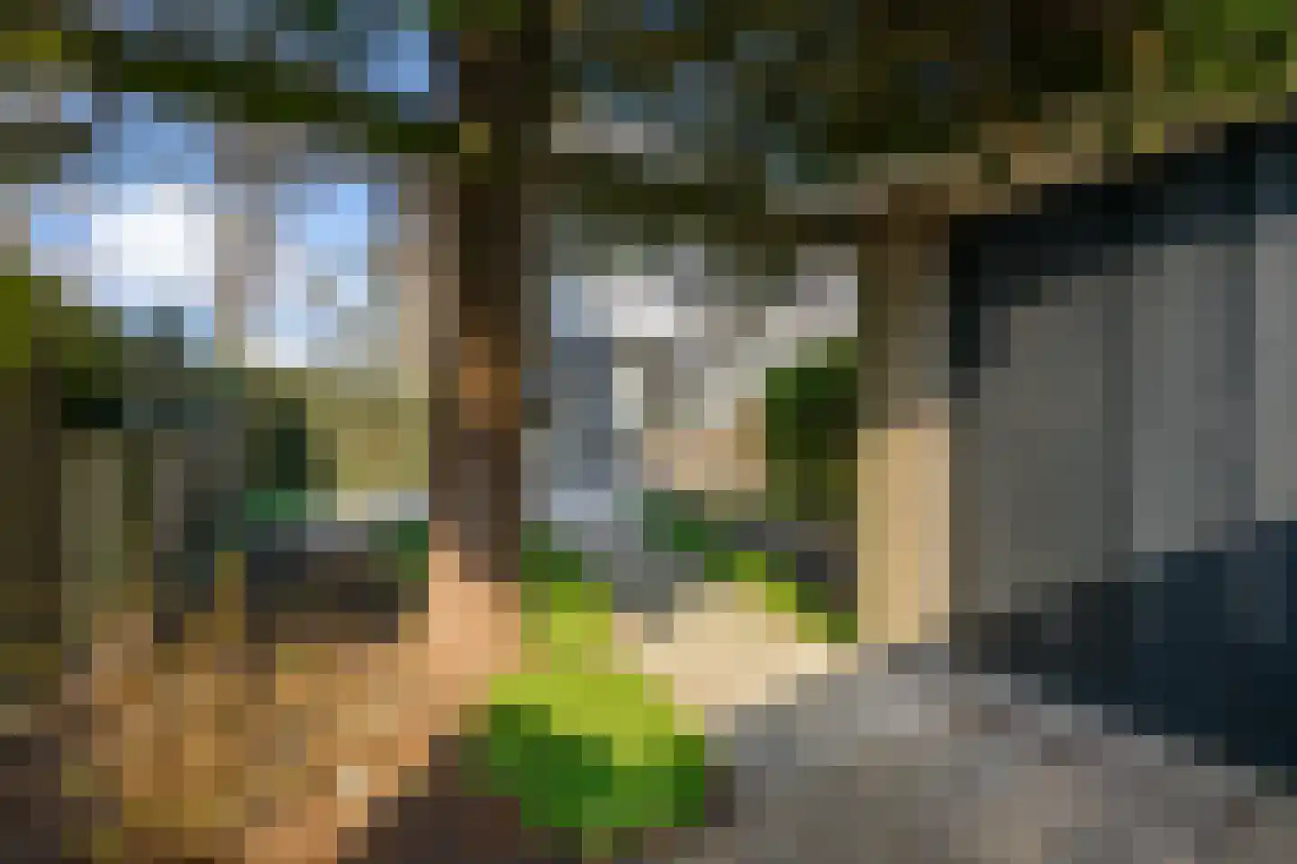 Sternstraat 17 Wormer thumbnail 13