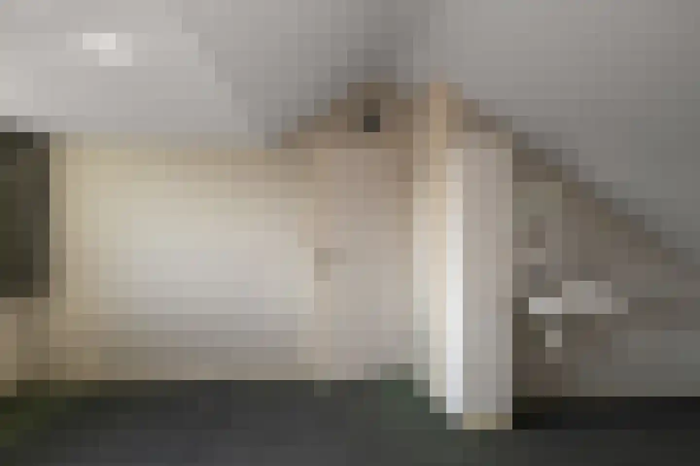 Sternstraat 17 Wormer thumbnail 36