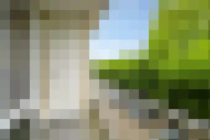 Sternstraat 17 Wormer thumbnail 4